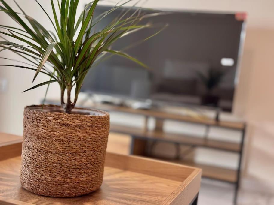 Apartamento En Pleno Centro Con Aparcamiento Opcional Cordoba Ngoại thất bức ảnh